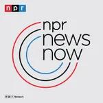 NPR News: 10-03-2022 9PM ET