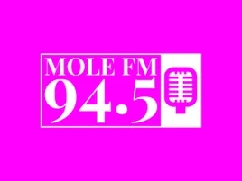 Mole FM book club