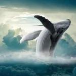 #132 Juba, a baleia que queria voar