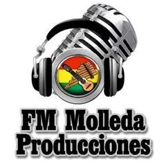 FM Molleda Producciones