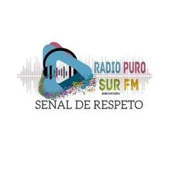 RADIO PUROSURFM