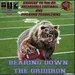 Bearing Down The Gridiron S2 - Week 2 is here!!