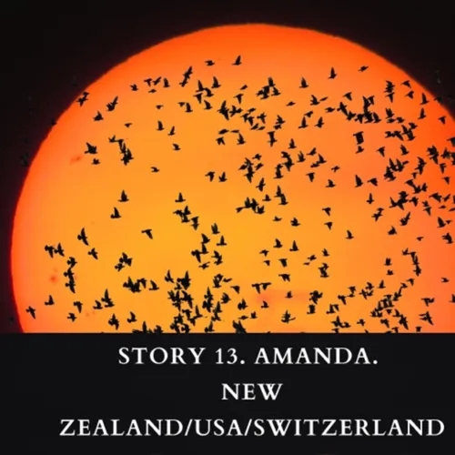 #13. AMANDA. New Zealand/USA/Switzerland