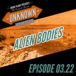 Roswell: Alien Bodies