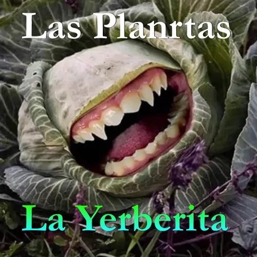 Episodio #23Las Plantas en La Yerberita