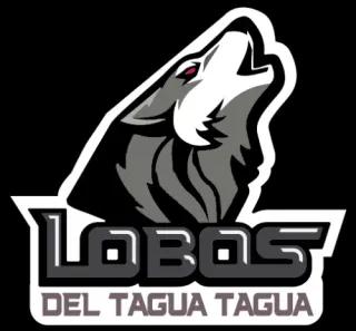 Club Lobos del Tagua Tagua