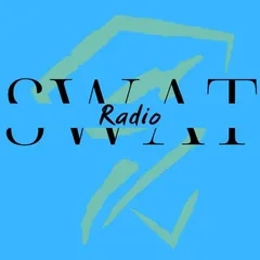 SWAT Radio