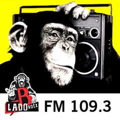 Lado B Rock Radio Web