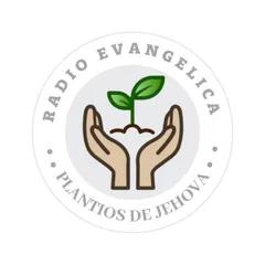 Radio Plantío de Jehová 