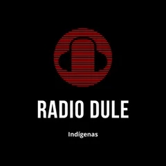 Radio DULE