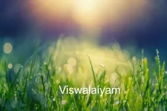 Viswalaiyam