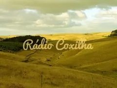 Radio Coxilha
