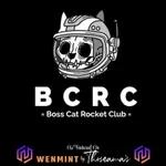 Episode 90 - *Boss Cat Rocket Club* Chillin' with Catnip!