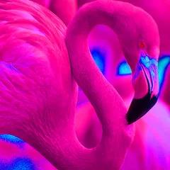 Loco Flamingo Vibez