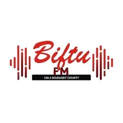 Biftu Radio 100.3