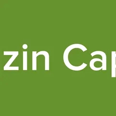 Bedzin Capital
