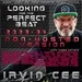 Looking for the Perfect Beat 2023-35 - non-hosted version by Irvin Cee