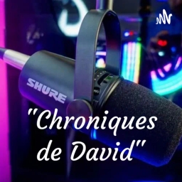 "Les Chroniques de David"