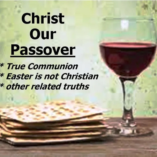 Passover 2019 -"Communion" (Bro Adam)