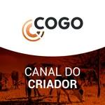 Canal do Criador 10/08 - Exportações brasileiras de carnes: desempenho entre janeiro e julho/2022