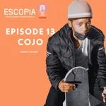Episode 13 | Interview with Cojo