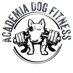 academia dog fitness