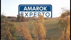 Amarok Experto Argentina