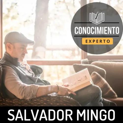 Salvador Mingo -Conocimiento Experto-