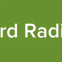 Ard Radio