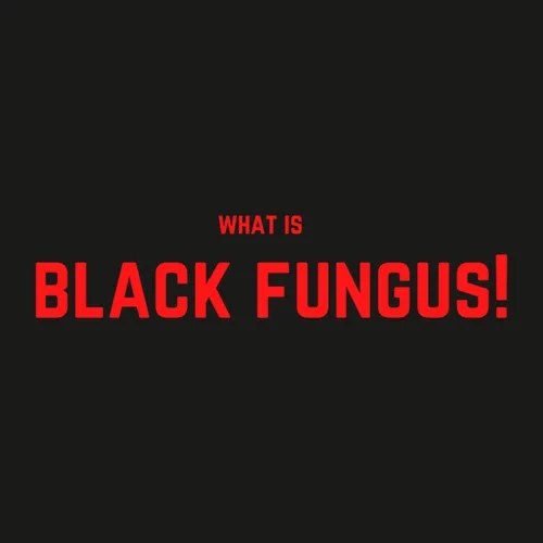 What is BLACK FUNGUS in Malayalam