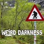 “BIZARRE ENCOUNTERS WITH ROAD TROLLS” and 7 More Creepy True Stories! #WeirdDarkness