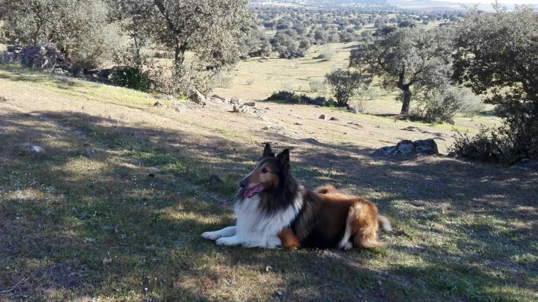 radio hinojosa del valle