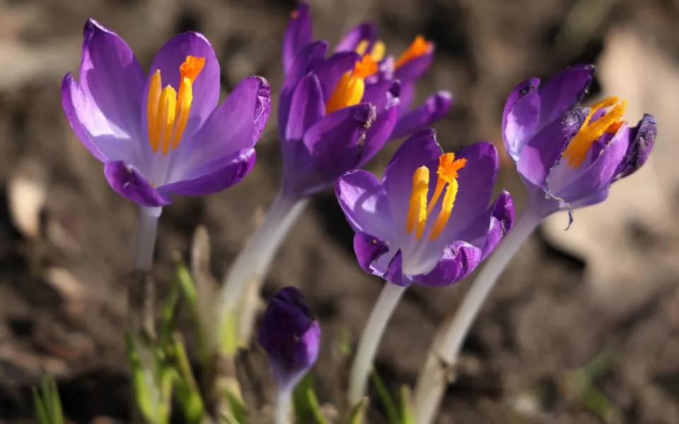 Radiostation by Elnara Dexter