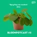 BLOEMPOTCAST #11 - ATTIE OVER MEUBELUPCYCLING