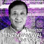 535: Tenzin Wangyal Rinpoche