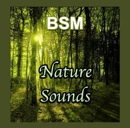 BSM Nature