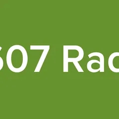 P607 Radio