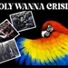Show sample for 3/24/23: POLY WANNA CRISIS