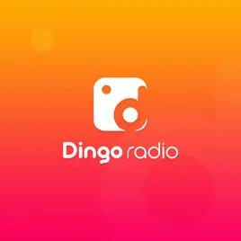 Dingo Radio