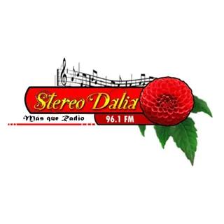 Radio Stereo Dalia