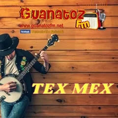 Tex Mex En Guanatozfm