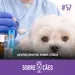 Homeopatia para Cachorros - Podcast Sobre Cães