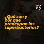 ¿Qué son y por qué preocupan las superbacterias?