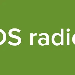 DS radio
