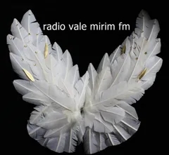 Rádio Vale Mirim Fm