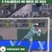 O Palmeiras no início de 2024- Porcocast #121