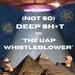 (Not So) Deep Sh*t on The UAP Whistleblower