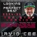 Looking for the Perfect Beat 2024-06 - non-hosted version by Irvin Cee