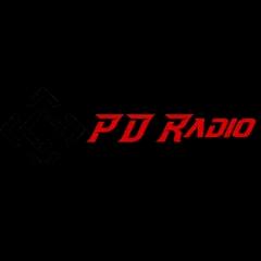Radio Profidesigner Romania