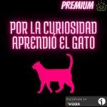 SOM mecenas- Por la curiosidad aprendió el gato 09 - Episodio exclusivo para mecenas